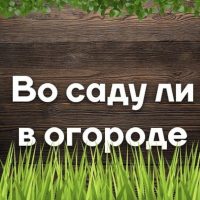 Во саду ли в огороде в MAX