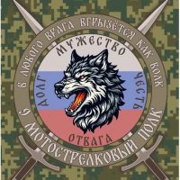 БАЛТИЙСКИЕ ВОЛКИ в MAX