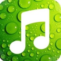 Музыка ➕ в MAX