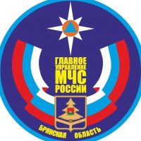 МЧС Брянской области в MAX