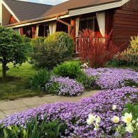 Ландшафтный дизайн.Идеи для сада. в MAX