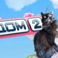 Леопольд в MAX