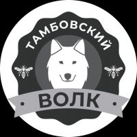 Тамбовский волк 🐺 в MAX