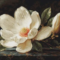 Схемы для вышивки, Заказ перенаборов.xsd в MAX