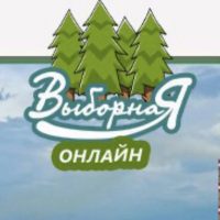 Выборная online (Новосибирск) в MAX