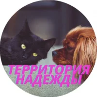 Кот и Пёс - Территория Надежды в MAX