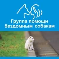 Город преданных собак 73 в MAX