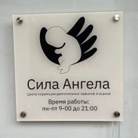 ДЦП Ангел в MAX