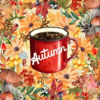 HYGGE ЖИЗНЬ ✦ УЮТНЫЙ ПАБЛИК в MAX