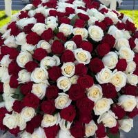 Магазин "МИР ЦВЕТОВ". Цветы.Доставка. Чебоксары в MAX