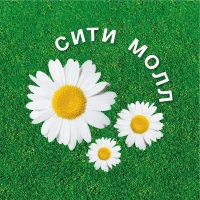 Сити Молл Белгородский в MAX