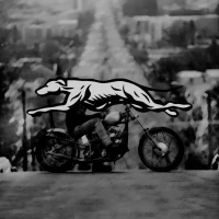 MOTORCYCLES & ART в MAX