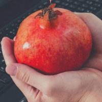 РЕЦЕПТЫ ДИЕТОЛОГА в MAX