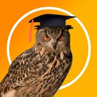 Школьный учебник - учителям, педагогам в MAX