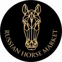 RUSSIAN HORSE MARKET в MAX
