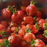 Секреты жизни на даче в MAX