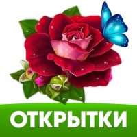 Открытки и поздравления! в MAX