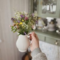 Берег леса | Уютный блог в MAX