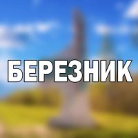 Березник в MAX