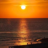 Юрий Озаровский в MAX