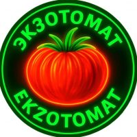 ЭКЗОТОМАТ 46. Коллекционные семена томатов. в MAX