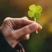 О Счастье - просто в MAX