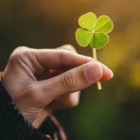 О Счастье - просто в MAX