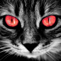 English Vibe & Verbs в MAX