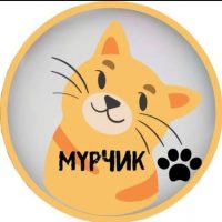 Мурчик 🐱 в MAX