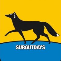 Сургут/ХМАО в MAX