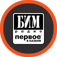 БИМ-радио в MAX