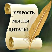 Мудрые мысли, цитаты, мотивация, вдохновение в MAX