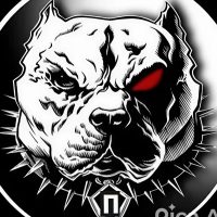 Провинция в MAX