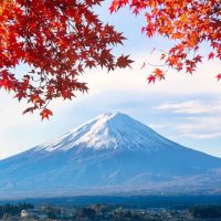 Dreams About Japan • Япония в MAX