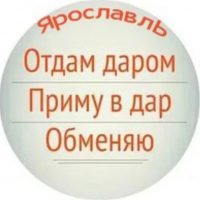 Отдам даром. Ярославль в MAX