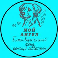 БФ"Мой Ангел"- помощь животным в MAX