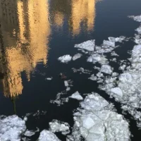 Музыка в стихах в MAX