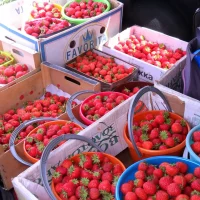 ВКУСНЫЙ ОГОРОД в MAX