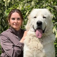 Питомник ТИМЕРТАШ среднеазиатская овчарка алабай в MAX