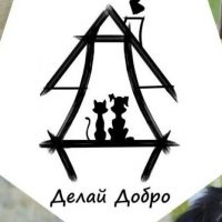 ДЕЛАЙ ДОБРО Бездомные Животные Волгодонска в MAX