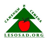 lesosad.org - саженцы, семена, товары для дачи в MAX