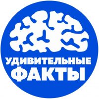 Наука | Удивительные Факты в MAX