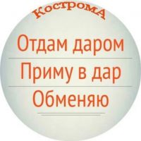 Отдам даром. Кострома в MAX
