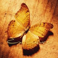 এꨄ  Фото для души  এꨄ в MAX