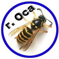 Оса | Осинский район, Пермский край - Объявления в MAX