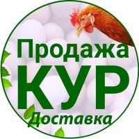 Продажа и доставка Кур-несушек | Куры76.рф в MAX