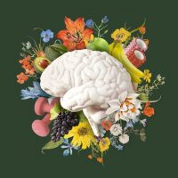 Хелси хаус в MAX