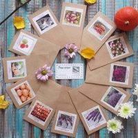 Чудогрядка.рф | Сад. Огород в MAX