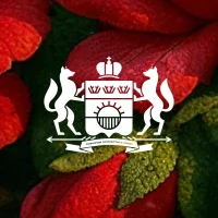 Тюменская область в MAX