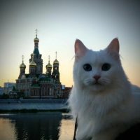 НОВОСТИ ЙОШКАР-ОЛА МАРИЙ ЭЛ в MAX